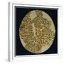 Gold Disk Showing a Figure of a Warrior Toltech Myth-null-Framed Giclee Print