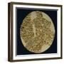 Gold Disk Showing a Figure of a Warrior Toltech Myth-null-Framed Giclee Print