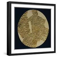 Gold Disk Showing a Figure of a Warrior Toltech Myth-null-Framed Giclee Print