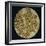 Gold Disk Showing a Figure of a Warrior Toltech Myth-null-Framed Giclee Print