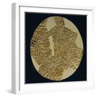 Gold Disk Showing a Figure of a Warrior Toltech Myth-null-Framed Giclee Print