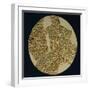 Gold Disk Showing a Figure of a Warrior Toltech Myth-null-Framed Giclee Print