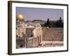 Gold Dome of Western Wall, Jerusalem, Israel-Bill Bachmann-Framed Photographic Print