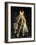 Gold Dress White Dots Three-OnRei-Framed Art Print