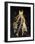 Gold Dress White Dots Three-OnRei-Framed Art Print