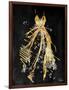 Gold Dress White Dots Three-OnRei-Framed Art Print