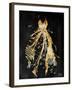 Gold Dress White Dots Three-OnRei-Framed Art Print