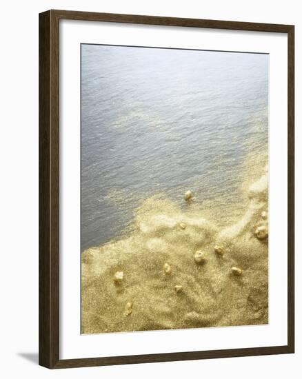 Gold Dust on a River Bank-Ingo Boddenberg-Framed Photographic Print