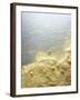 Gold Dust on a River Bank-Ingo Boddenberg-Framed Photographic Print