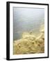 Gold Dust on a River Bank-Ingo Boddenberg-Framed Photographic Print