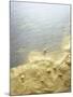 Gold Dust on a River Bank-Ingo Boddenberg-Mounted Photographic Print