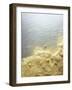 Gold Dust on a River Bank-Ingo Boddenberg-Framed Photographic Print
