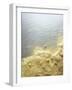 Gold Dust on a River Bank-Ingo Boddenberg-Framed Photographic Print