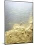 Gold Dust on a River Bank-Ingo Boddenberg-Mounted Photographic Print