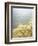 Gold Dust on a River Bank-Ingo Boddenberg-Framed Photographic Print