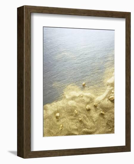 Gold Dust on a River Bank-Ingo Boddenberg-Framed Photographic Print