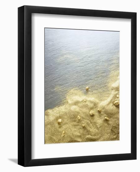 Gold Dust on a River Bank-Ingo Boddenberg-Framed Photographic Print