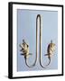 Gold Earring from Milo-null-Framed Giclee Print