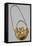 Gold Earring from Volos-null-Framed Stretched Canvas