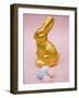 Gold Easter Bunny and Sugar Eggs-null-Framed Photographic Print