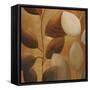 Gold Eco-Chic II-Patricia Pinto-Framed Stretched Canvas