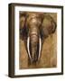 Gold Elephant-Patricia Pinto-Framed Art Print