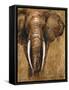 Gold Elephant-Patricia Pinto-Framed Stretched Canvas