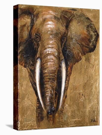 Gold Elephant-Patricia Pinto-Stretched Canvas