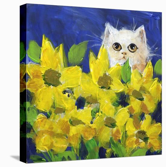 Gold Eye White Persian in Yellow Flowers-sylvia pimental-Stretched Canvas