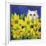 Gold Eye White Persian in Yellow Flowers-sylvia pimental-Framed Art Print