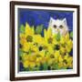 Gold Eye White Persian in Yellow Flowers-sylvia pimental-Framed Art Print