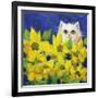 Gold Eye White Persian in Yellow Flowers-sylvia pimental-Framed Art Print