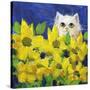 Gold Eye White Persian in Yellow Flowers-sylvia pimental-Stretched Canvas