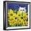 Gold Eye White Persian in Yellow Flowers-sylvia pimental-Framed Art Print