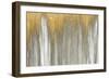 Gold Falls-Roberto Gonzalez-Framed Art Print