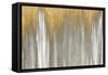 Gold Falls-Roberto Gonzalez-Framed Stretched Canvas