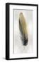 Gold Feather on Silver I-Julia Bosco-Framed Giclee Print