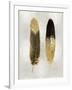 Gold Feather Pair on Silver-Julia Bosco-Framed Art Print