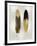 Gold Feather Pair on Silver-Julia Bosco-Framed Art Print