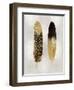 Gold Feather Pair on Silver-Julia Bosco-Framed Art Print