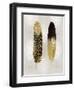 Gold Feather Pair on Silver-Julia Bosco-Framed Art Print