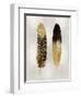 Gold Feather Pair on Silver-Julia Bosco-Framed Art Print