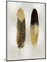 Gold Feather Pair on Silver-Julia Bosco-Mounted Art Print