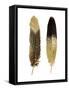 Gold Feather Pair-Julia Bosco-Framed Stretched Canvas