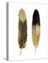 Gold Feather Pair-Julia Bosco-Stretched Canvas