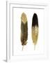 Gold Feather Pair-Julia Bosco-Framed Art Print