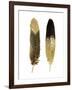 Gold Feather Pair-Julia Bosco-Framed Art Print