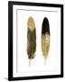 Gold Feather Pair-Julia Bosco-Framed Art Print