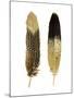 Gold Feather Pair-Julia Bosco-Mounted Art Print