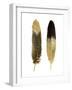 Gold Feather Pair-Julia Bosco-Framed Art Print